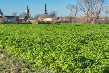 Kışın Agra alanının görünümü. 