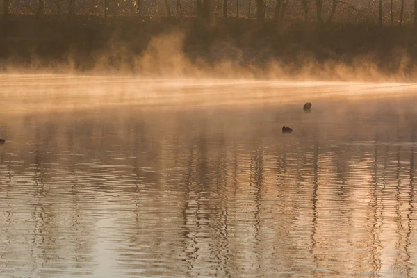 Morgon dimma och solen speglar på en liten sjö — Stockfoto