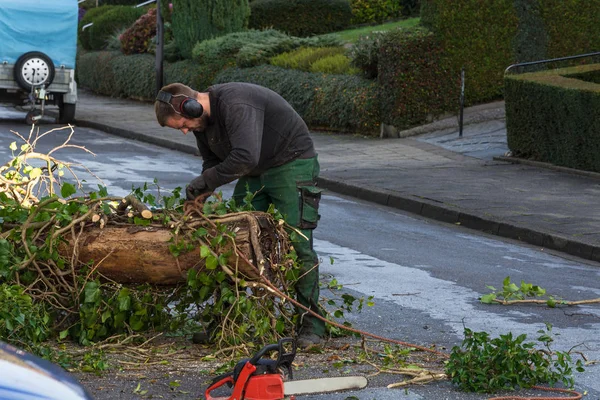 Bosbouw werknemer zagen een boomstam met een kettingzaag — Stockfoto