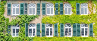Facade greening with climbing plants clipart