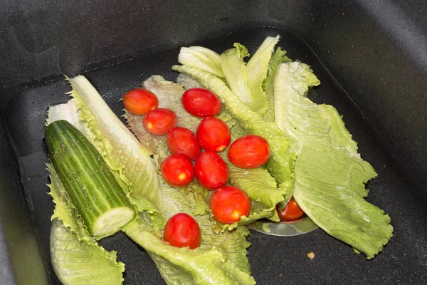 Fresh cucumbers, tomatoes and lettuce — Stock Photo, Image