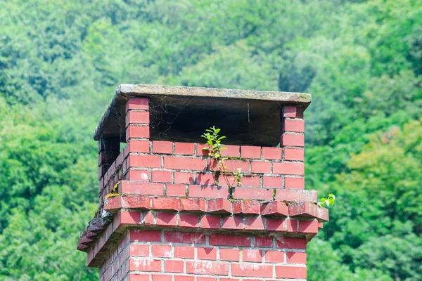 Camino invaso su una vecchia casa — Foto Stock