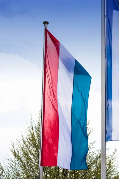 Flagga av Nederländerna — Stockfoto