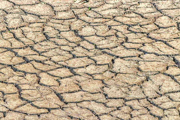 Pęknięty ziemi, gleby duża susza. — Zdjęcie stockowe