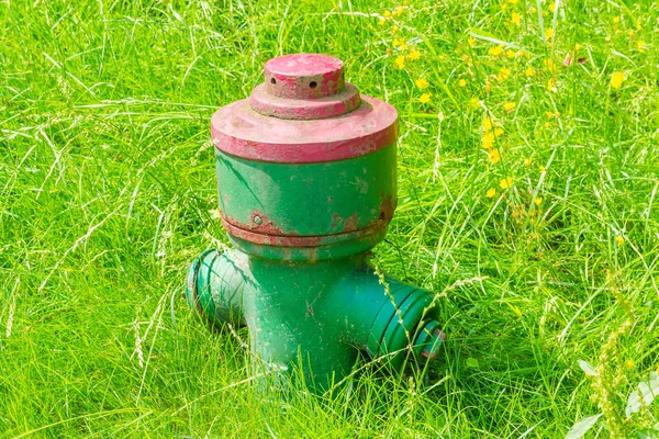 Hidrante verde pequeno — Fotografia de Stock