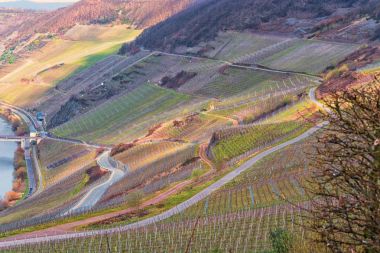 Üzüm bağları üzerinden dolambaçlı yol
