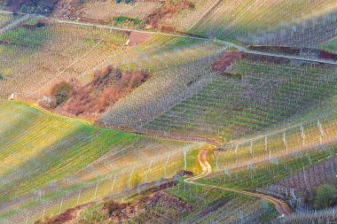 Üzüm bağları üzerinden dolambaçlı yol