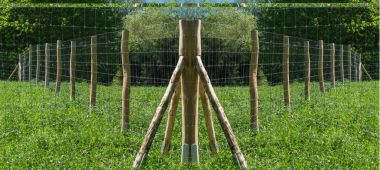 Fence of a pasture clipart