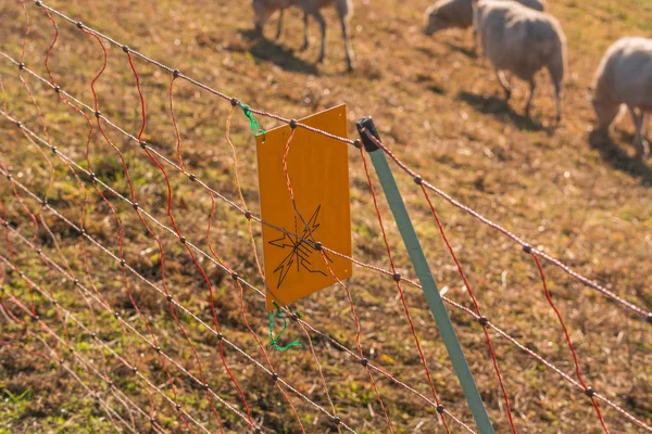 Varning tecken Weidezaun under makt — Stockfoto