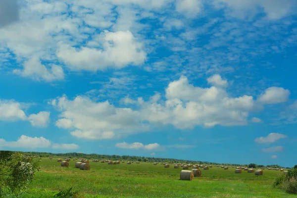 Scenic panorama with hay bales — Stock Photo, Image