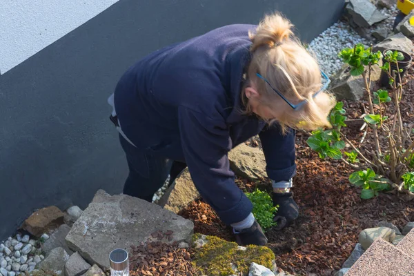 Mujer está plantando flores en el jardín —  Fotos de Stock