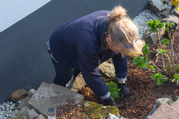 Mulher está plantando flores no jardim — Fotografia de Stock