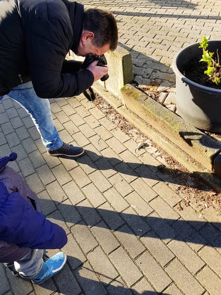 Halott egér a járdán. — Stock Fotó