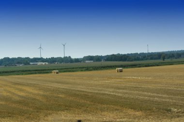 Tarlada büyük saman balyaları    