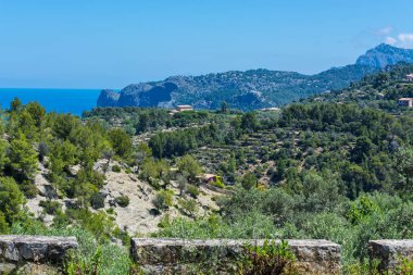 Vahşi Batı Deniz Manzaralı sahil şeridi.         