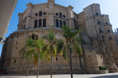 Endülüs 'teki Malaga Katedrali, İspanya   