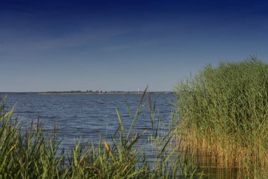 Vücut manzarası. Körfezden denize bak. Fischland-Darss-Zingst, Wieck am Dar yakınlarında.