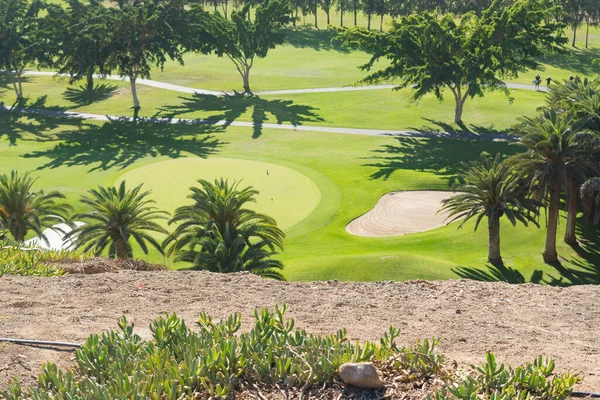 Gran Canaria Meloneras Golf Play Green Grass Palm Trees Canary — Stock Photo, Image