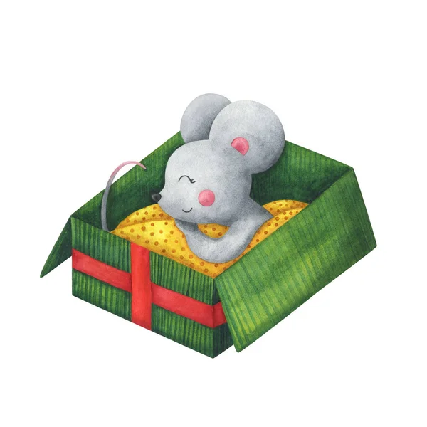 Mouse Sleeps Gift Box Watercolor Author Illustration Holiday Symbol 2020 — ストック写真