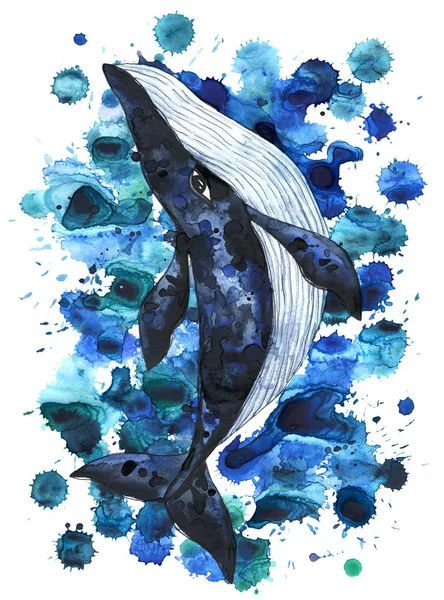大蓝鲸 水彩画 水彩画 水彩斑斓 古色古香的印刷品 海报或明信片 — 图库照片