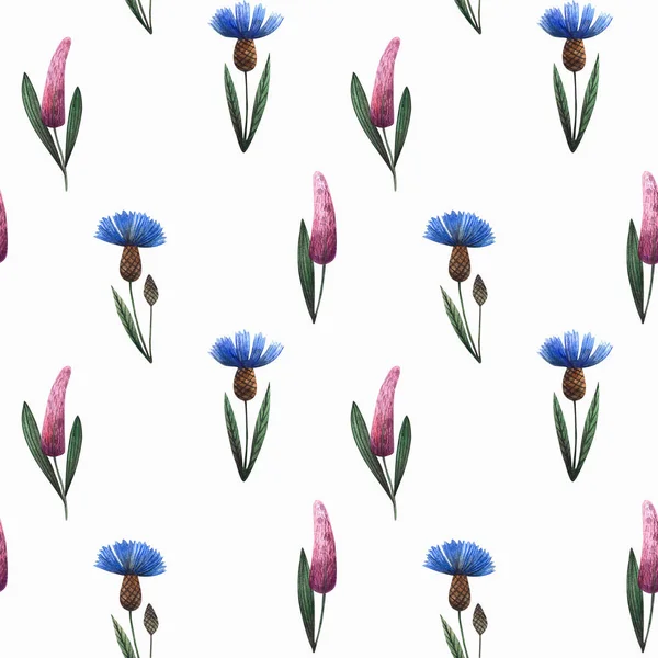 Seamless Pattern Stylized Watercolor Flowers Blue Cornflower Lavender White Background — 스톡 사진