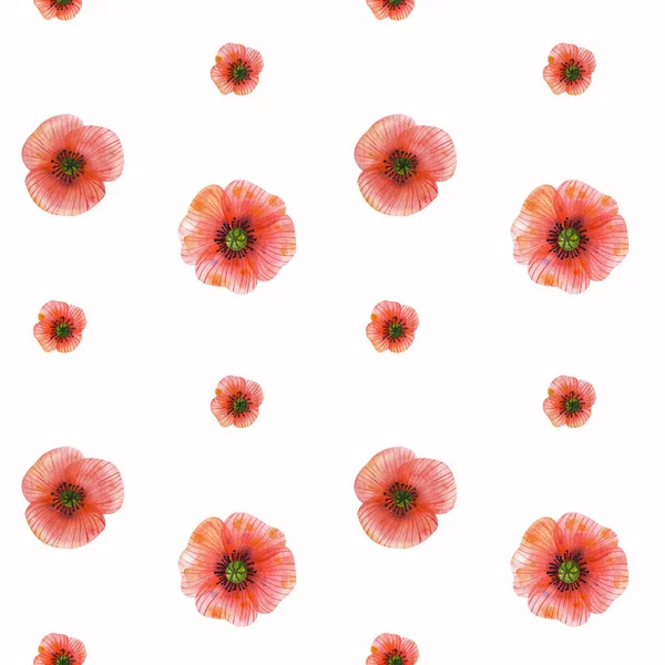 Seamless Watercolor Pattern Red Poppy White Background Cute Background Simple — ストック写真