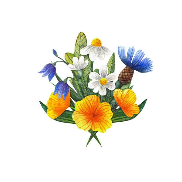 Flower Arrangement Watercolor Stylized Wild Flowers Composition Blue Cornflower Chamomile — Stok fotoğraf
