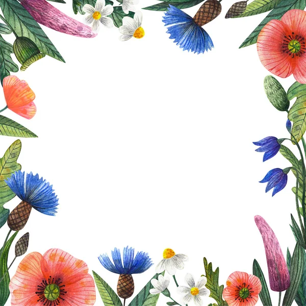 Frame Wild Flowers Square Template Space Text Photos Social Networks — ストック写真
