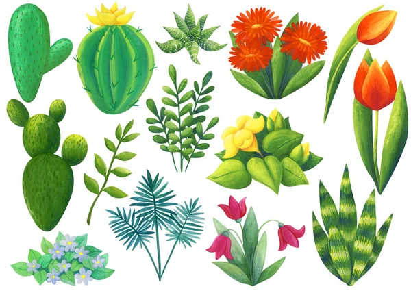 Zestaw Roślin Wewnętrznych Ogrodowych Słodkie Kolorowe Ilustracje Gwasz Odizolowany Białym — Zdjęcie stockowe