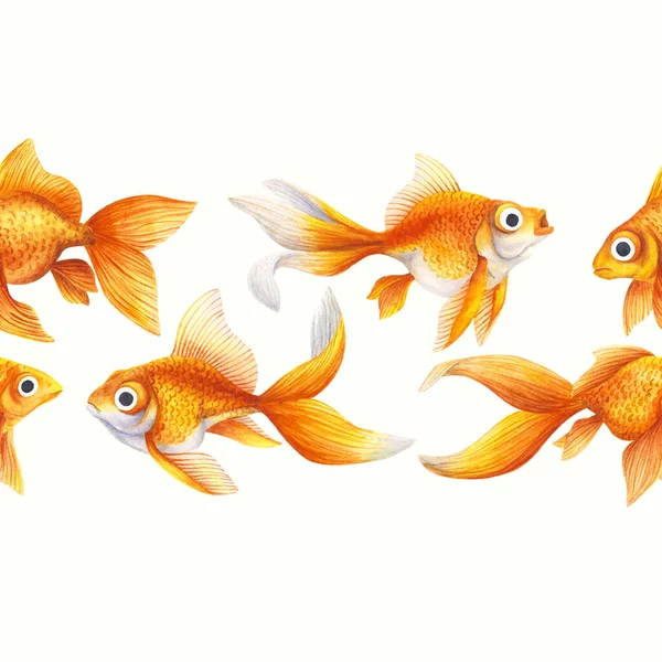 无缝隙 装饰与金鱼的边界 金黄色水族馆鱼 水彩画 写实的插图 装饰动物 魔法黑魔法 — 图库照片