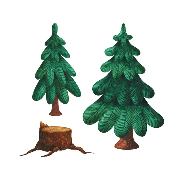 Green Spruce Stump Set Stylized Watercolor Illustrations Evergreen Trees Different — Stock Photo, Image