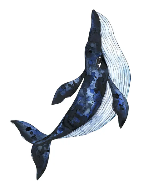 Wieloryb Błękitny Akwarela Morska Ilustracja Plamami Plamami Stylowy Druk Plakat — Zdjęcie stockowe