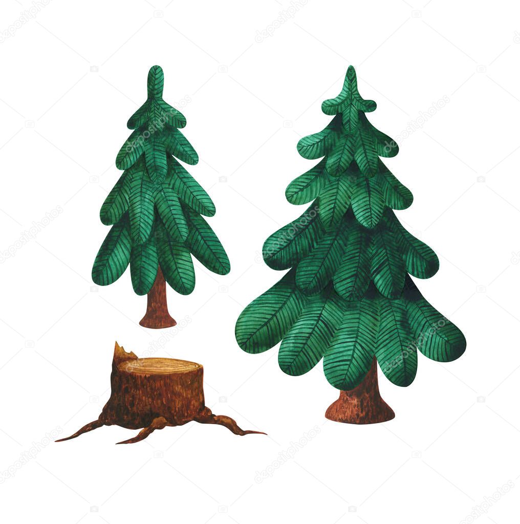 Green spruce and the stump. A set of stylized watercolor illustrations. Evergreen trees of different heights and sizes. Natural, eco-friendly element. Isolated on a white background. For Christmas decoration or forest of all seasons.