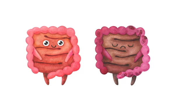 Intestin Organes Sains Malades Illustration Pour Enfants Aquarelle Personnages Isolés — Photo