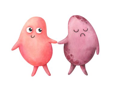 The kidneys. Healthy and diseased organs.. Watercolor illustration in children's style. Characters isolated on a white background. Pink. Cartoon anatomy.Stock illustration. clipart