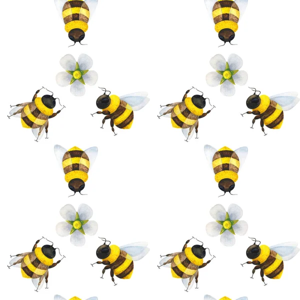 蜂は花を受粉させる 白を基調に昆虫や花でシームレスなパターン 夏の飾りだ 養蜂家の日だ 蜂の保護の世界の日 紙に印刷するためのストック画像 — ストック写真