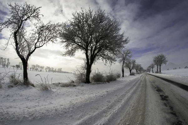 Красивый снежный зимний пейзаж с деревьями — стоковое фото