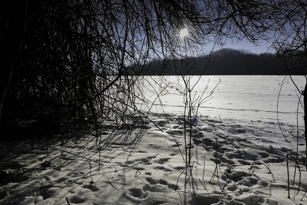 Bellissimo paesaggio invernale innevato con alberi — Foto Stock