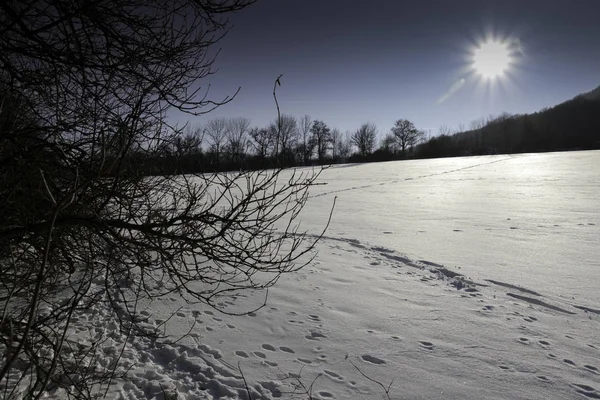 Prachtige besneeuwde winterlandschap met bomen — Stockfoto