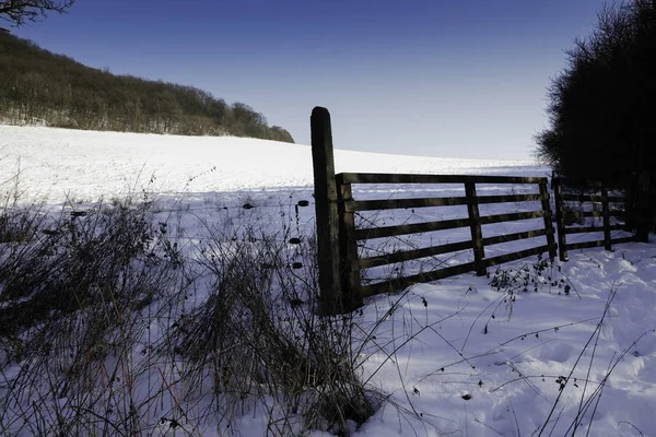 木々 の美しい雪の冬風景 — ストック写真