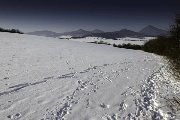 Bellissimo paesaggio invernale innevato con alberi — Foto Stock