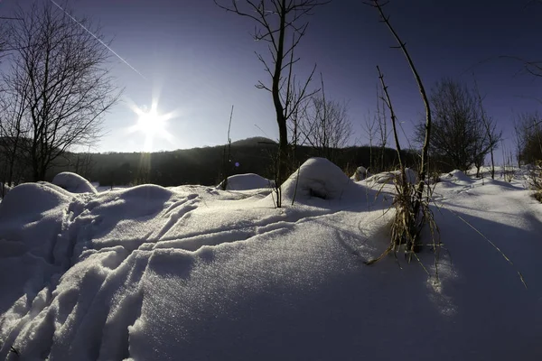 Beautiful snowy winter landscape with trees — Stock Photo, Image