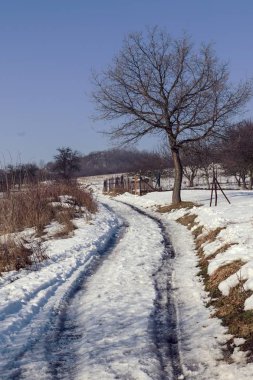 karlı manzara ve kışın orman
