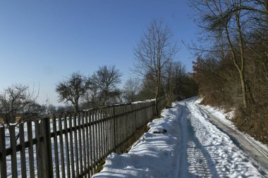 karlı manzara ve kışın orman