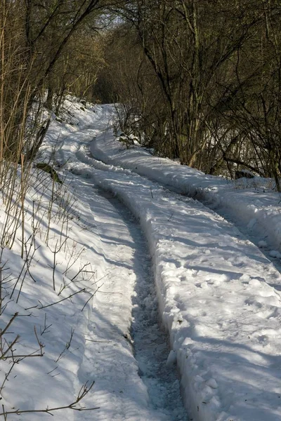 Snöiga landskap och skog i vinter — Stockfoto