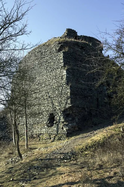 Rustige bos in de lente ontwaakt — Stockfoto