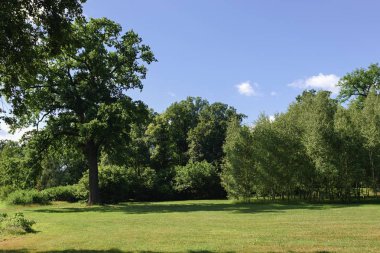 Chateau ve yaz bahçede