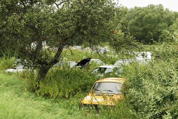 Naufragio de coches viejos en la naturaleza — Foto de Stock