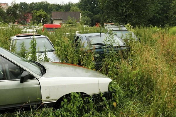 Naufragio de coches viejos en la naturaleza — Foto de Stock