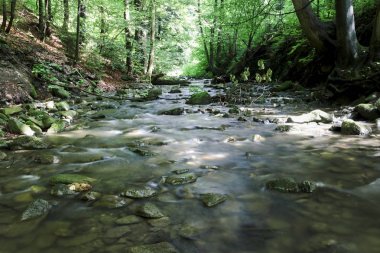 Bir forestwaterfall bir şelale bir ormandaki nehir üzerinde bir nehir üzerinde bir nehir üzerinde şelale